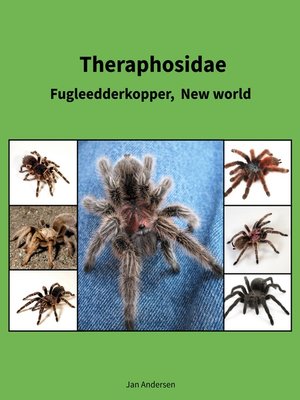 cover image of Theraphosidae